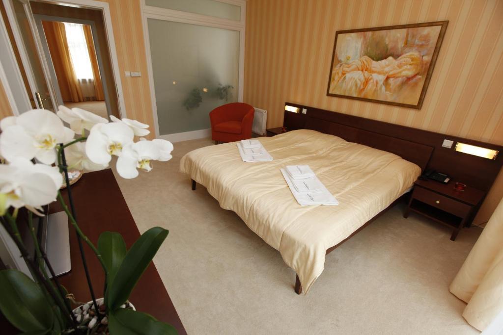 Hotel Sandor Pavillon Piest'any Rum bild